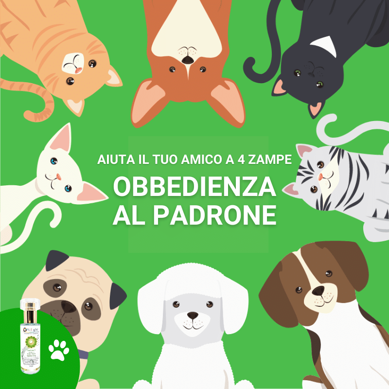 PET Therapy - 4th Chakra - Green Semitone