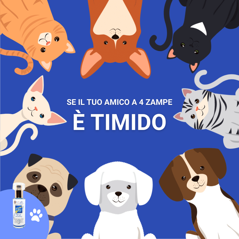 PET Therapy - Tono Blu - E' troppo Timido?