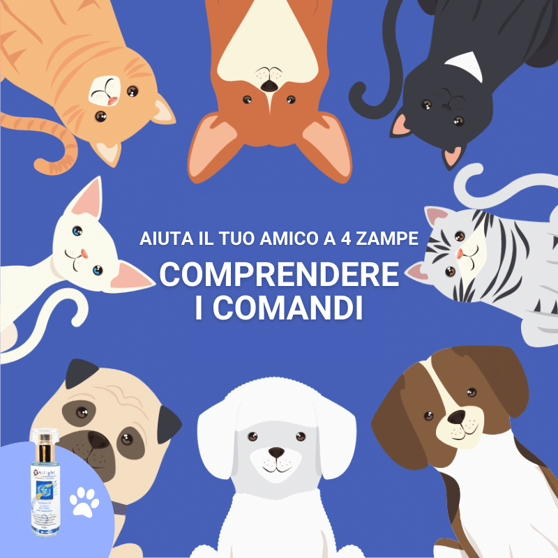 PET Therapy - Potenzia l'apprendimento e la comprensione dei comandi