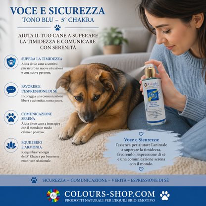 PET Therapy - Tono Blu - E' troppo Timido?