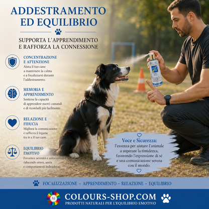 PET Therapy -  Potenzia l'apprendimento e la comprensione dei comandi
