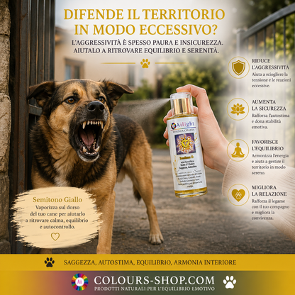 PET Therapy - 3rd Chakra - Yellow Semitone