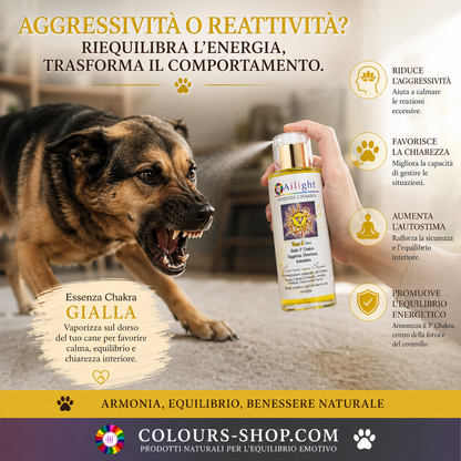 PET Therapy - 3rd Chakra - Yellow Tone