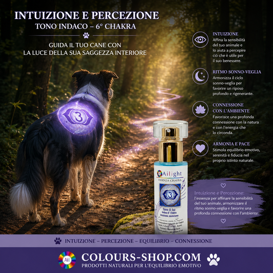 PET Therapy - 6th Chakra - Indigo Tone