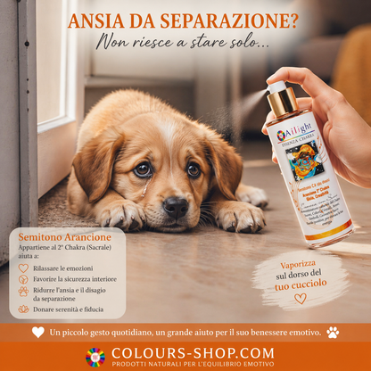 PET Therapy - 2nd Chakra - Orange Semitone