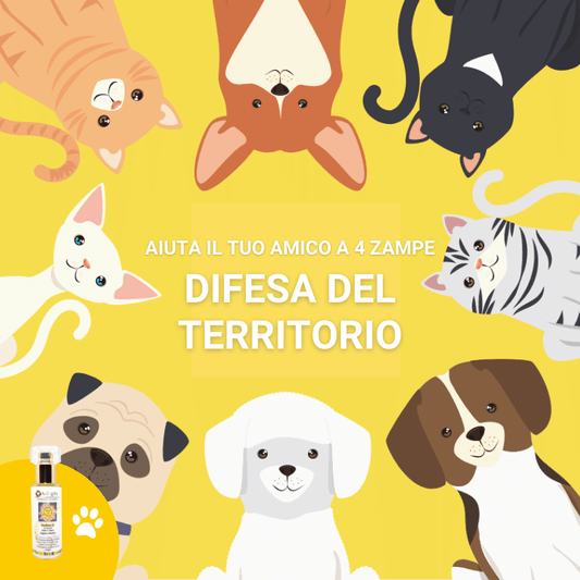 PET Therapy - 3° Chakra - Semitono Giallo