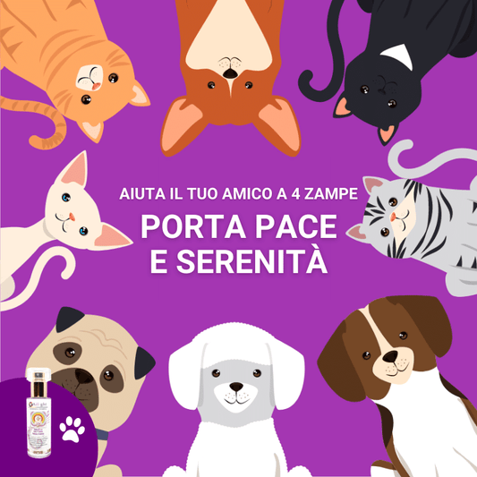 PET Therapy - 7° Chakra - Tono Viola