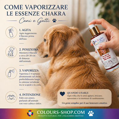 PET Therapy - Tono Blu - E' troppo Timido?