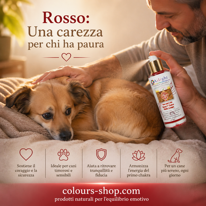 PET Therapy - 1st Chakra - Red Tone