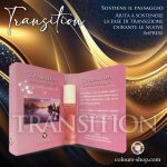 Transition – Aiuta a sostenere la fase di transizione durante le nuove imprese