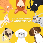 PET THERAPY – 3rd Chakra – Yellow Tone – is agressive