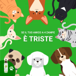 PET Therapy – 4° Chakra – Tono Verde