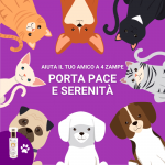 PET Therapy – 7° Chakra – Tono Viola